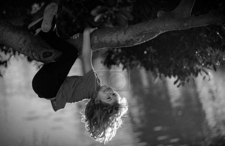 Téléchargez les photos : Enfant garçon grimpant haut arbre dans le parc d'été. Portrait d'un mignon garçon assis sur l'arbre, grimpant à un arbre. Garçon actif jouant dans le jardin. Concept de style de vie pour enfants. Enfants à la campagne - en image libre de droit
