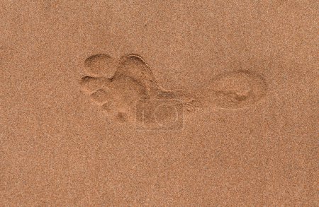 Téléchargez les photos : Gros plan empreintes de pas sur la plage de sable tropical - en image libre de droit