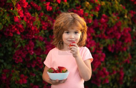 Photo for Lovely child eating strawberries. Healthy kids food. Organic nutrition - Royalty Free Image