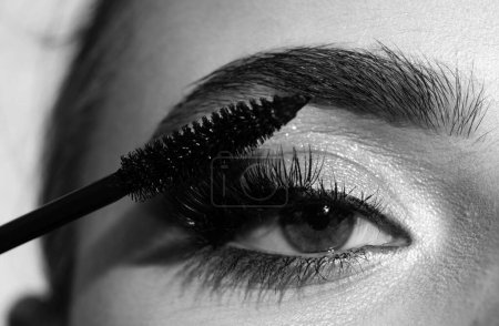 Foto de Maquillaje de cejas. Macro cierre de cejas. Mujer cepillando cejas con cepillo de cejas primer plano. Cejas de belleza natural - Imagen libre de derechos