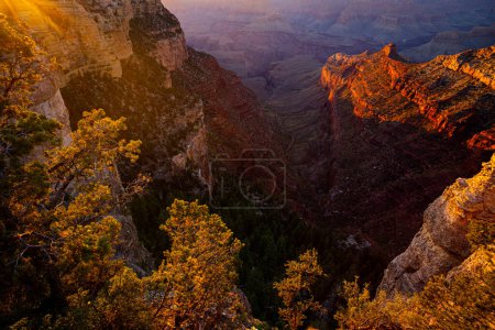 Foto de Borde norte del Gran Cañón al atardecer dorado, Arizona. Parque Nacional Canyon. Cañón de rocas rojas en Utah. Naturaleza paisaje - Imagen libre de derechos