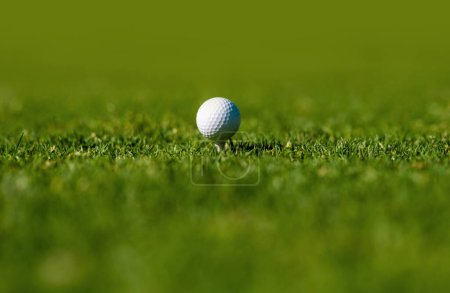 Téléchargez les photos : Boule de golf gros plan en mise au point douce à l'herbe. Balle de golf sportive en arrière-plan avec espace de copie - en image libre de droit