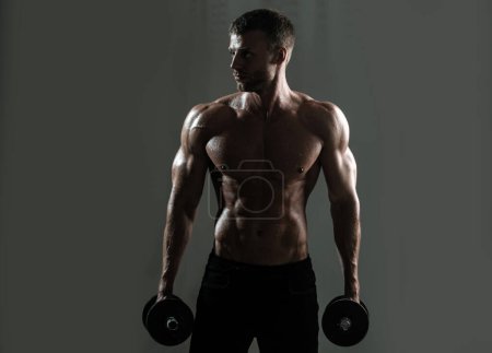 Photo for Sporty torso, man with dumbbells. Muscular man working out in studio doing exercises, strong male naked torso abs - Royalty Free Image