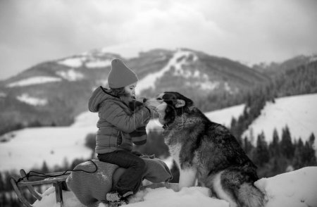Téléchargez les photos : Joli garçon profitant d'une balade en traîneau avec chien husky. Luge d'enfants, équitation d'un jeu de luge à l'extérieur dans la neige dans le parc d'hiver. Amusement actif d'hiver extérieur pour des vacances en famille - en image libre de droit