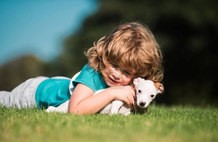 Foto de Niño niño niño juega con perrito perrito chihuahua perrito mezclado - Imagen libre de derechos