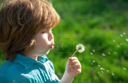Spring or summer kid blow dandelions flower on walk and grass background. Soul harmony concept