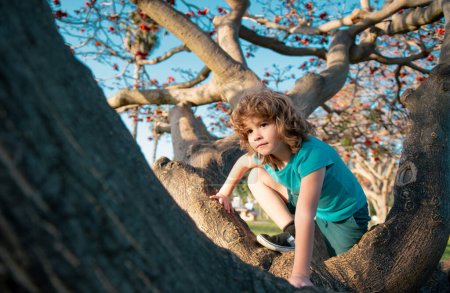 Téléchargez les photos : Le gamin est assis sur un arbre. Enfant assis sur une branche d'arbre dans un parc d'été. Enfant grimpant à un arbre. En plein air. Journée ensoleillée. Garçon actif jouant dans le jardin - en image libre de droit