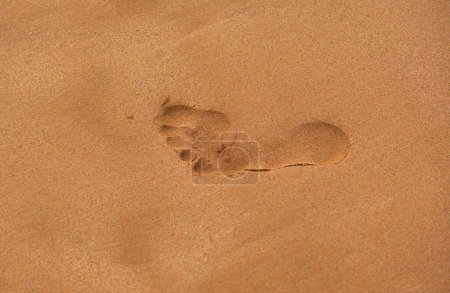 Téléchargez les photos : Texture fond empreintes de pieds humains sur le sable sur la plage de sable - en image libre de droit
