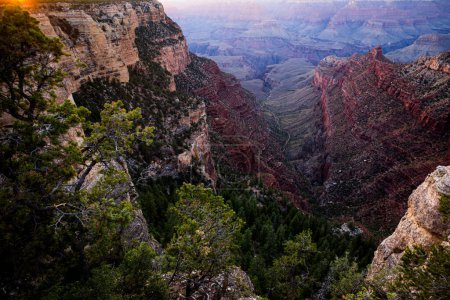 Photo for Landscape of Grand Canyon National Park in Arizona - Royalty Free Image