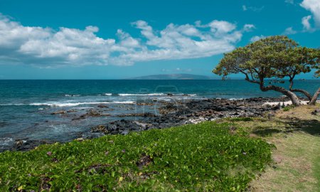 Foto de Paisaje hawaiano escénico. Playa de la Escena en la Isla de Maui, Hawaii - Imagen libre de derechos