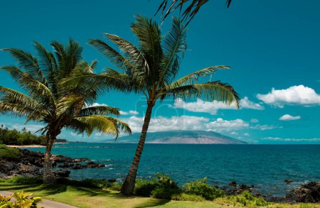 Téléchargez les photos : Plage d'Hawaï, océan hawaïen, île d'aloha maui. Panorama de plage tropicale - en image libre de droit