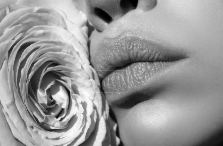 Foto de Cerca de la mujer sexy labios naturales y hermosa rosa roja. Labios con lápiz labial de cerca. Hermosos labios de mujer con rosa - Imagen libre de derechos