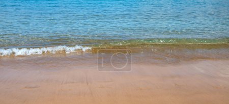 Foto de Playa y mar tropical. Colorida playa oceánica. paisaje de aguas turquesas claras, Maldivas o Hawai - Imagen libre de derechos