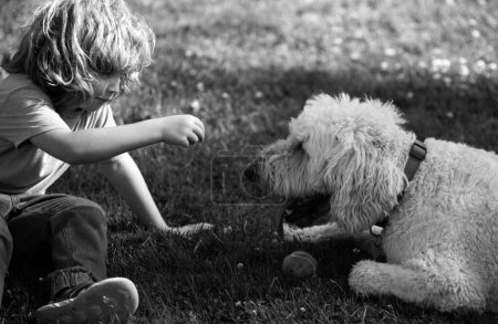 Foto de Retrato de un niño juega con un perro al aire libre. Juegos de pelota para mascotas - Imagen libre de derechos