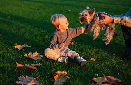 Photo for Small baby toddler on sunny autumn day walk with dog. Warmth and coziness. Happy childhood. Sweet childhood memories. Child play with yorkshire terrier dog. Toddler boy enjoy autumn with dog friend. - Royalty Free Image