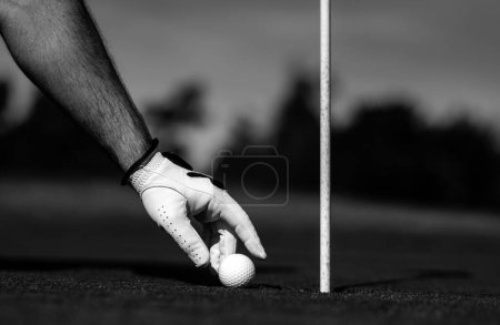 Téléchargez les photos : Tenez la balle de golf. Homme golfeur avec gant de golf. Joueur de golf masculin sur terrain de golf professionnel - en image libre de droit