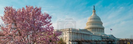Foto de Capitolio edificio cerca de la flor de primavera magnolia árbol. Capitolio Nacional de Estados Unidos en Washington, DC. Un hito americano. Foto de Capitol Hill spring - Imagen libre de derechos