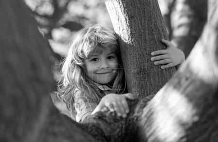 Kind auf einem Ast. Kinderklettern im Erlebnispark. Versicherungskinder. Kleiner Junge steht vor Herausforderung beim Versuch, auf einen Baum zu klettern