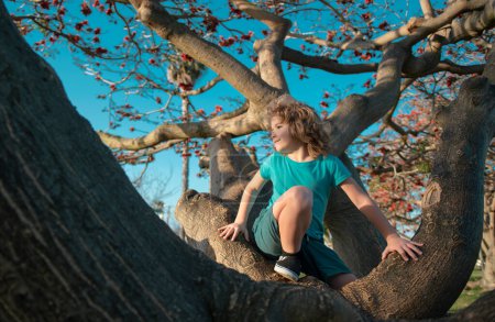 Téléchargez les photos : Il grimpe. Joyeux garçon profitant de la journée d'été dans un jardin - en image libre de droit