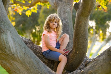 Foto de Lindo niño disfrutando trepar al árbol en el día de verano. Lindo niño aprendiendo a escalar, divertirse en el bosque o aparcar en el día soleado. Tiempo feliz y la infancia en la naturaleza - Imagen libre de derechos