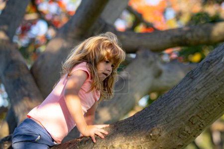 Téléchargez les photos : Kid climbing on a tree branch outdoor - en image libre de droit