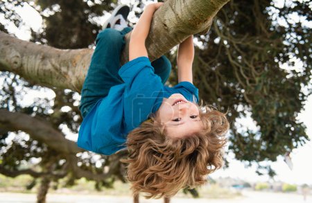 Téléchargez les photos : Les enfants grimpent aux arbres, pendus à l'envers sur un arbre dans un parc. Protection de l'enfance - en image libre de droit