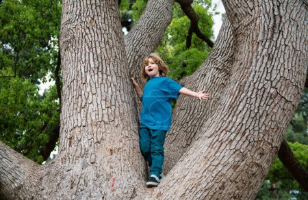 Téléchargez les photos : Enfants enfant jouant grimper à un arbre dans un parc en plein air - en image libre de droit