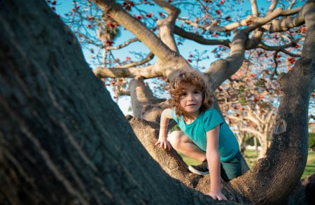 Téléchargez les photos : Un gamin qui essaie de grimper sur l'arbre. Escalade enfant dans le parc aventure - en image libre de droit
