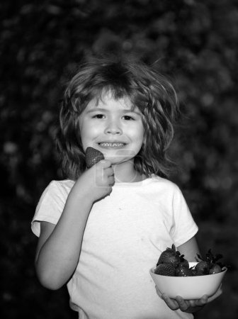 Un niño recogiendo y comiendo fresa. Niño comiendo fresas