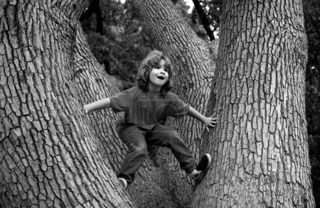 Téléchargez les photos : Petit garçon face au défi d'essayer de grimper à un arbre - en image libre de droit