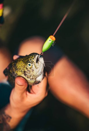 Photo for Fishing - relaxing and enjoying hobby. Fishing became a popular recreational activity. River grayling on the hook. Bass fishing splash - Royalty Free Image