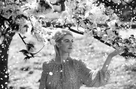 Foto de Chicas de primavera en flores. Hermosa mujer en el jardín de flores de cerezo en un día de primavera, pétalos de flores que caen del árbol - Imagen libre de derechos