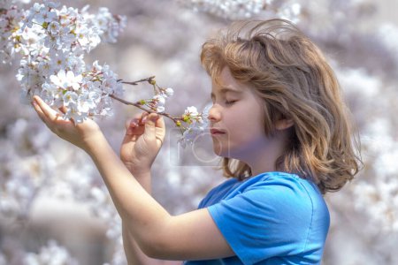 Téléchargez les photos : Un gamin qui joue sous un cerisier en fleurs. Enfant au jardin de printemps. Enfant garçon jouer dans le jardin de cerises en fleurs le jour du printemps. Enfant heureux pendant la floraison printanière. Enfant près d'un arbre en fleurs dans un parc printanier - en image libre de droit
