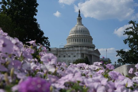 Foto de Edificio del Capitolio cerca de la primavera. Capitolio Nacional de Estados Unidos en Washington, DC. Un hito americano. Foto de Capitol Hill spring - Imagen libre de derechos