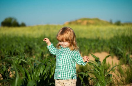 Téléchargez les photos : Bébé enfant sur l'herbe verte dans le parc d'été. Bébé sur le champ de maïs, à l'extérieur. Enfant s'amusant avec l'agriculture et le jardinage des légumes, la récolte. Petit agriculteur - en image libre de droit