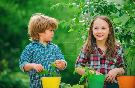 Téléchargez les photos : L'été à la campagne. Jolie enfance. Deux petits fermiers enfants avec des légumes bio maison. Enfants plantant des fleurs en pot - en image libre de droit