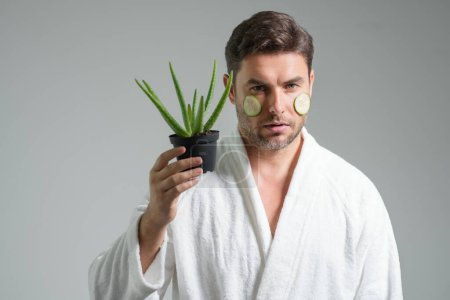 Clean face, face care, facials concept. Middle aged man with aloe vera isolated on studio background. Aloe vera for cosmetics skin mask. Facial mask with aloe vera. Spa, dermatology, wellness and