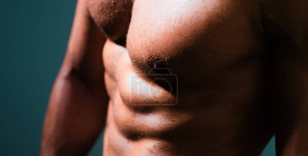 Foto de Torso de hombre. Hombre musculoso guapo con seis abdominales paquete - Imagen libre de derechos