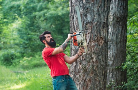 Logging. Firewood as a renewable energy source. Lumberjack in the woods with chainsaw axe. Professional lumberjack holding chainsaw in the forest