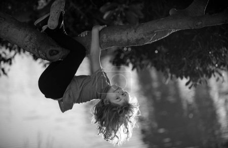 Téléchargez les photos : Cute blonde child boy hangs on a tree branch. Summer holidays, little boy climbing a tree. Upside down - en image libre de droit