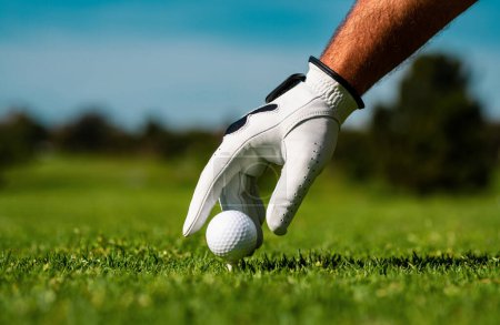 Photo for Hand hold golf ball. Golfer man with golf glove. Man golfer playing golf on a golf course - Royalty Free Image