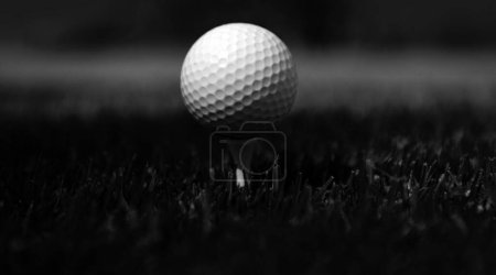 Photo for Close up golf ball on green grass field. Golf club - Royalty Free Image