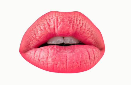 Lip close up lips. Macro lips, isolated on white