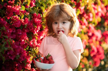 Foto de Un niño encantador comiendo fresas. Emocionado niño come fresas en el verano al aire libre - Imagen libre de derechos