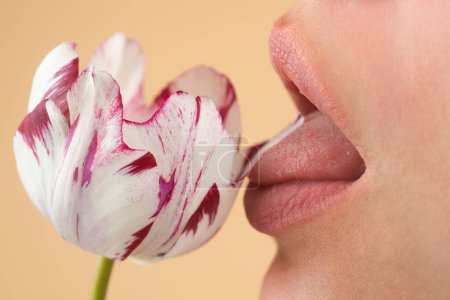 Licking lips. Woman mouth with sexy lips licking tongue flower. Mouth lick and suck close up. Beauty natural lips. Sensual licking, open sexy mouth. Sexy lick with tongue concept. Girl licking tulip