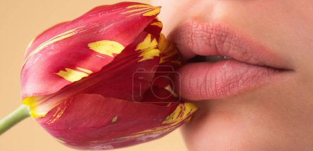Photo for Plump lips. Natural lips with tulip. Sexy woman mouth on tulip, macro lip. Caring and tenderness. Closeup beautiful lips with tulips flower. Sexy lips stick. Sensual lip touch, balm lipstick - Royalty Free Image