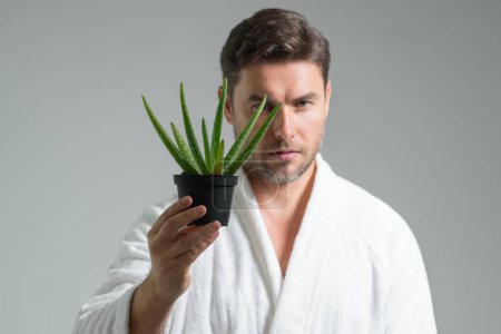 Middle aged man with aloe vera isolated on studio background. Aloe vera for cosmetics skin mask. Facial mask with aloe vera. Spa, dermatology, wellness and facial treatment concept