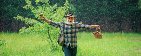 Photo for Senior with mushroom on spring rain, banner. Mushrooming in forest, Grandfather hunting mushrooms over summer forest background. Retirement. Smiling man picking mushrooms - Royalty Free Image