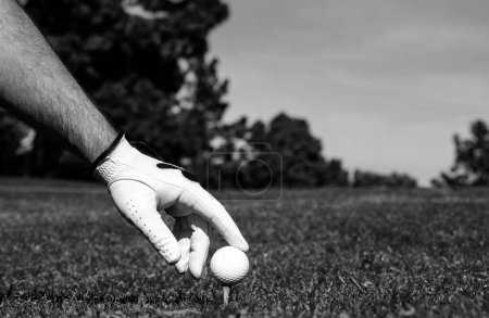 Téléchargez les photos : Golfeur mettant balle de golf sur le golf vert. Golfeur homme avec gant de golf - en image libre de droit