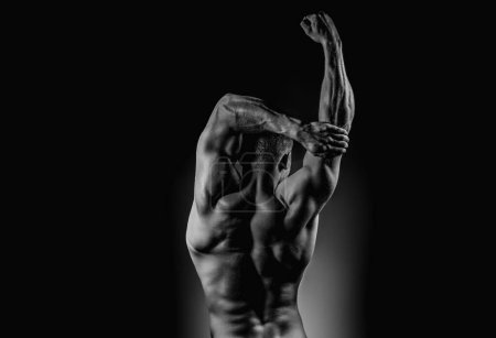 Téléchargez les photos : Corps musculaire. Épaules et muscles du dos. Musclé homme montrant sa force, vue de dos. Corps sexy. Épaules puissantes et dos. Athlète musculaire de derrière montrant les muscles du dos. Forte et sexy - en image libre de droit